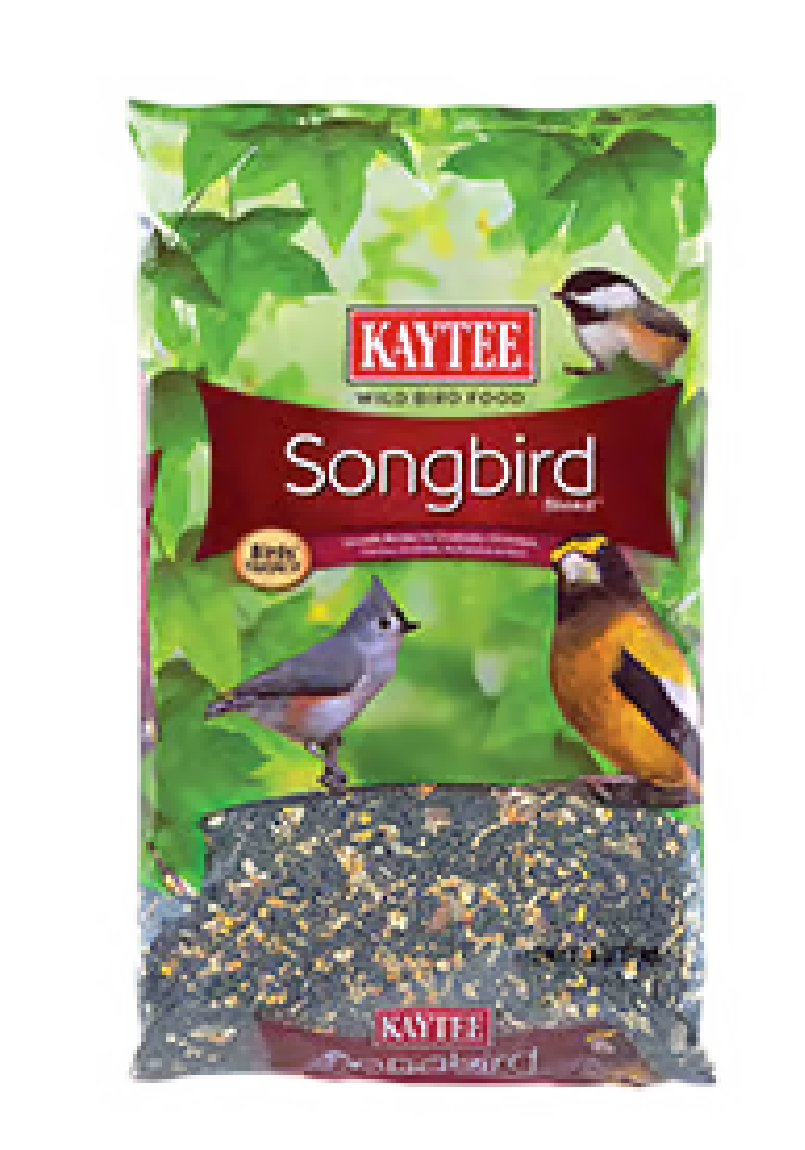 041522 backyard cat birdseed